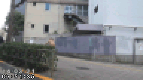 浮気調査報告書-外観