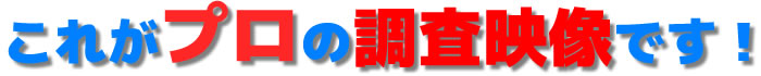 これがプロの映像です！